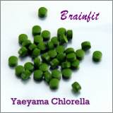 Brainfit Japanse Yaeyama Broken Cell Wall Chlorella Alg